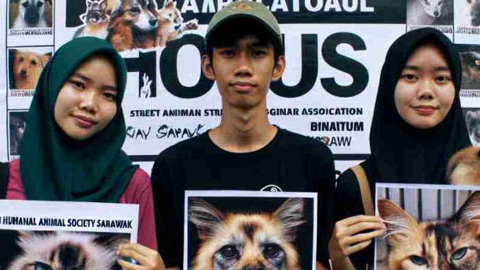Three Animal Rights Groups Condemn Cruelty Towards Animals in Sarawak, Malaysia, Concept art for illustrative purpose, tags: koalition tierquälerei - Monok