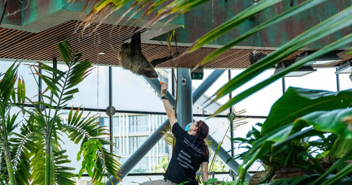 Verantwortungsvoller Tourismus und Tierschutz in Deutschland