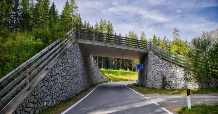 Wildtierkorridore fördern die Bewegungsfreiheit von Tieren in Deutschland
